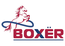 BOXER CONSTRUCTION Logo